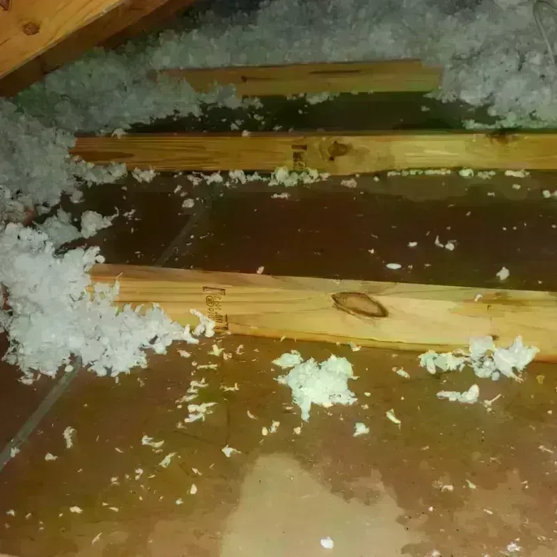 Attic Water Damage in Arecibo, PR